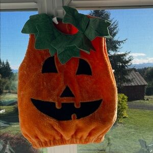 3T Pumpkin Halloween Costume